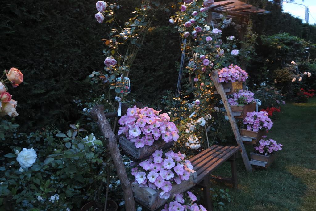La Via' Bed & Breakfast Cavour Exterior photo